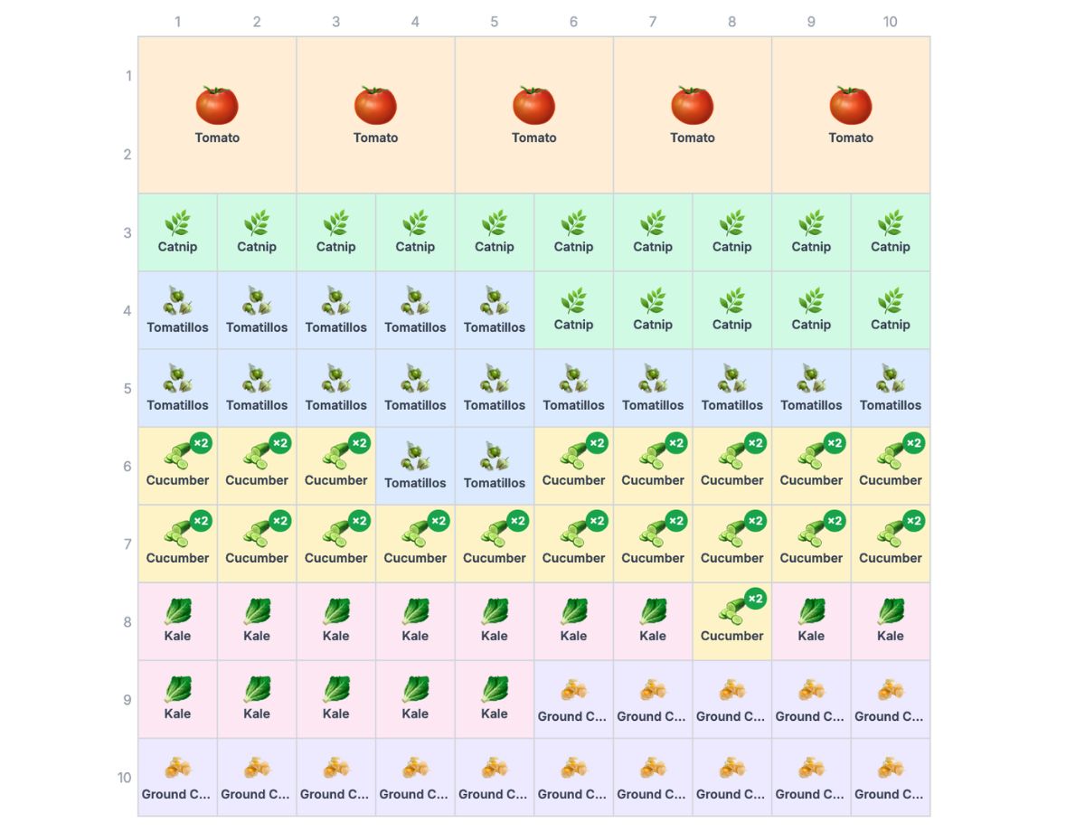 10×10 Beginner's Confidence Bed