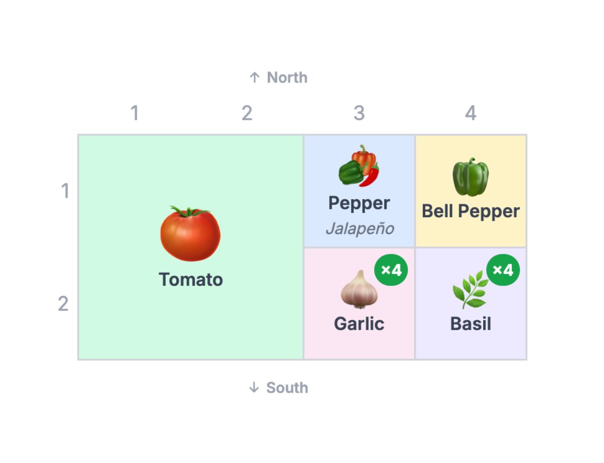 2×4 micro salsa garden layout with tomato, jalapeño, bell pepper, garlic and basil