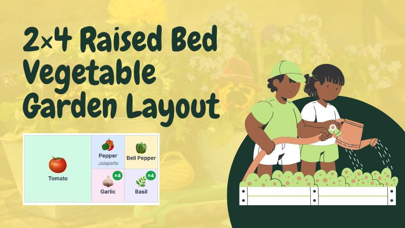 2×4 Raised Bed Vegetable Garden Layout: 9 Simple Plans