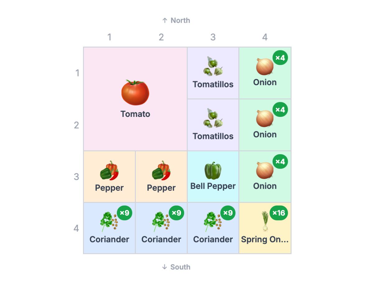 4×4 homemade salsa garden layout with tomato, tomatillo, pepper, onion, spring onion and coriander