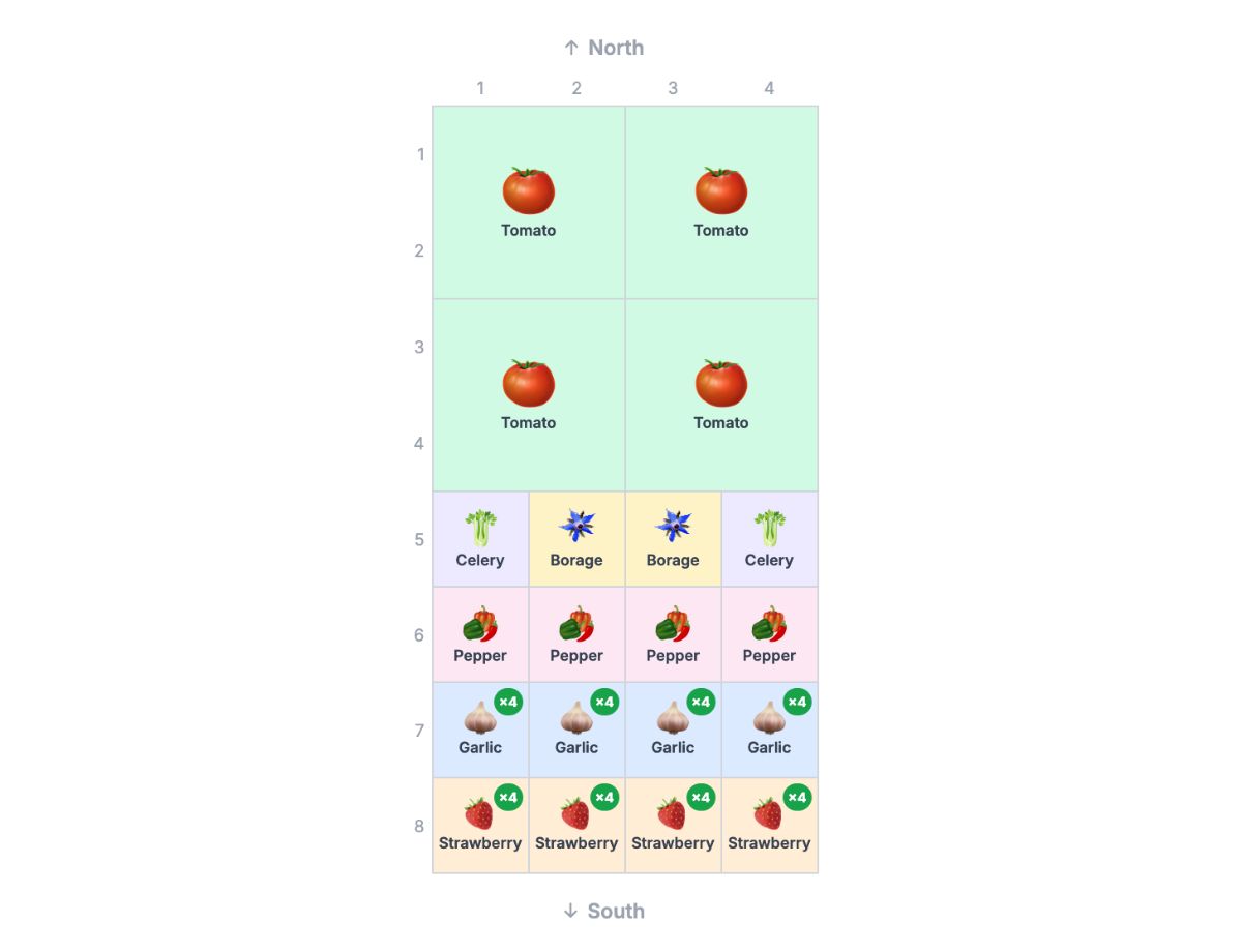 4x8 tomato companion garden with garlic, borage, pepper, celery and strawberry
