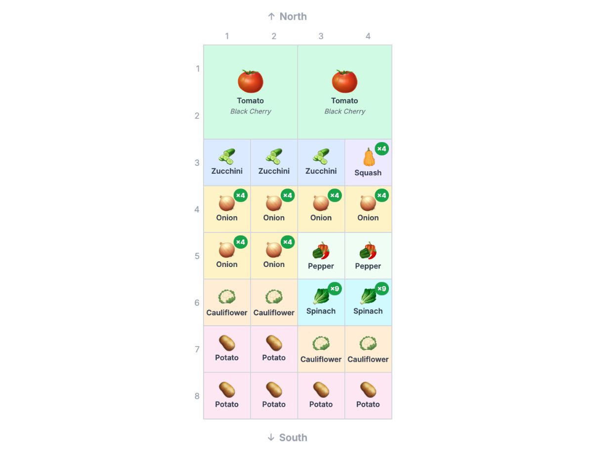 4x8 money-saving garden bed with black cherry tomatoes, zucchini, onion, potato, squash, cauliflower and spinach