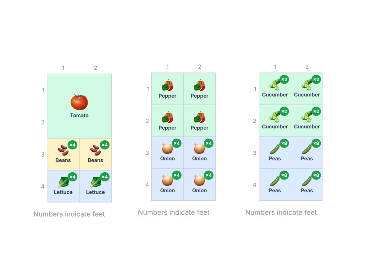 2×4 Compact Money-Saving Grocery Garden (3 Layouts)