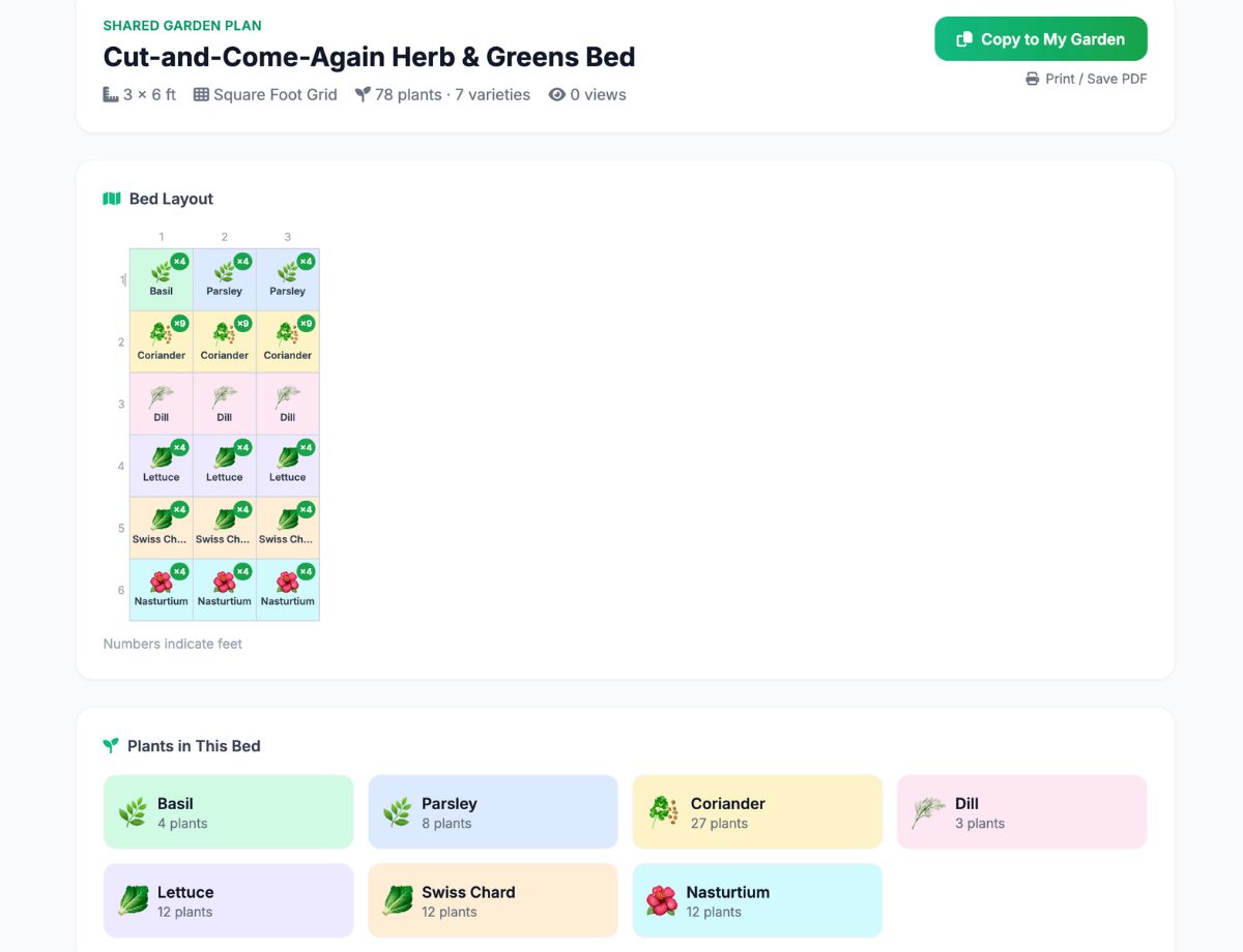 Cut-and-Come-Again Herb & Greens Bed