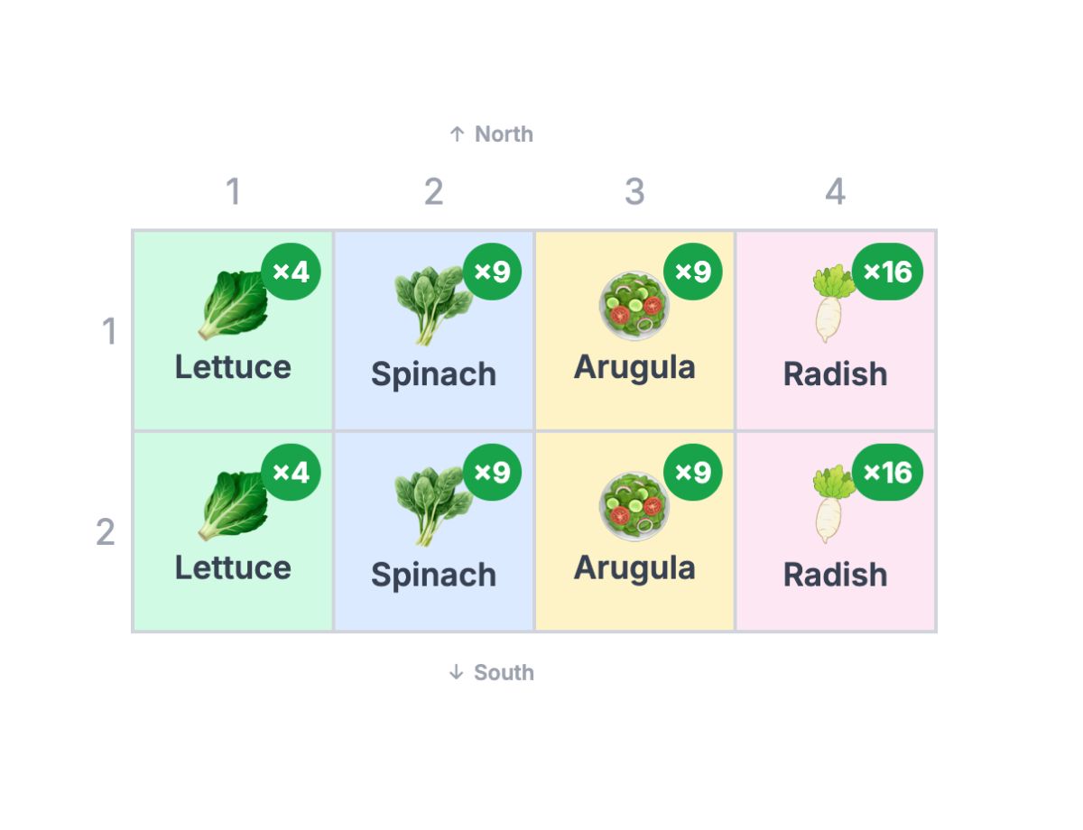 Mini Cut-and-Come-Again Salad Bed