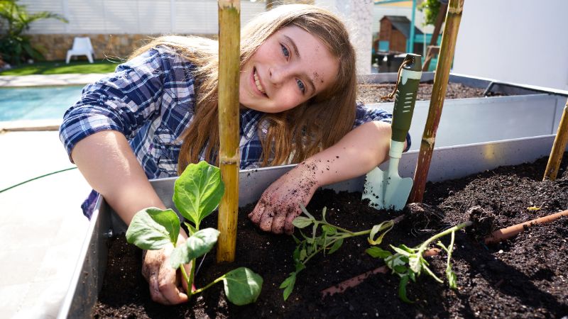How Much Space Do You Need for a Vegetable Garden? Real Numbers by Size