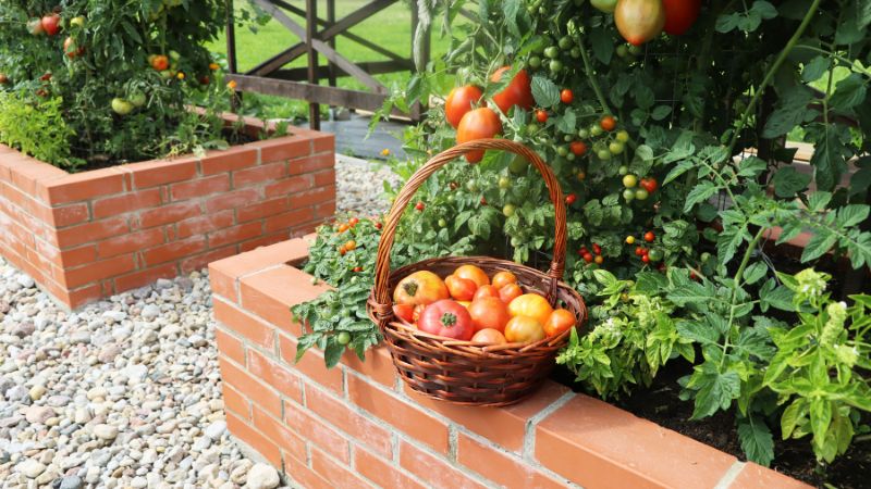 How to Choose What Vegetables to Grow in Your First Garden