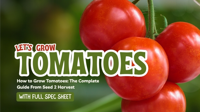 How to Grow Tomatoes: The Complete Guide From Seed 2 Harvest