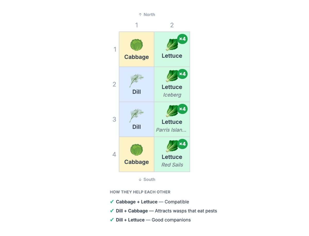 Plan 1 — Lettuce & Dill Corner Bed