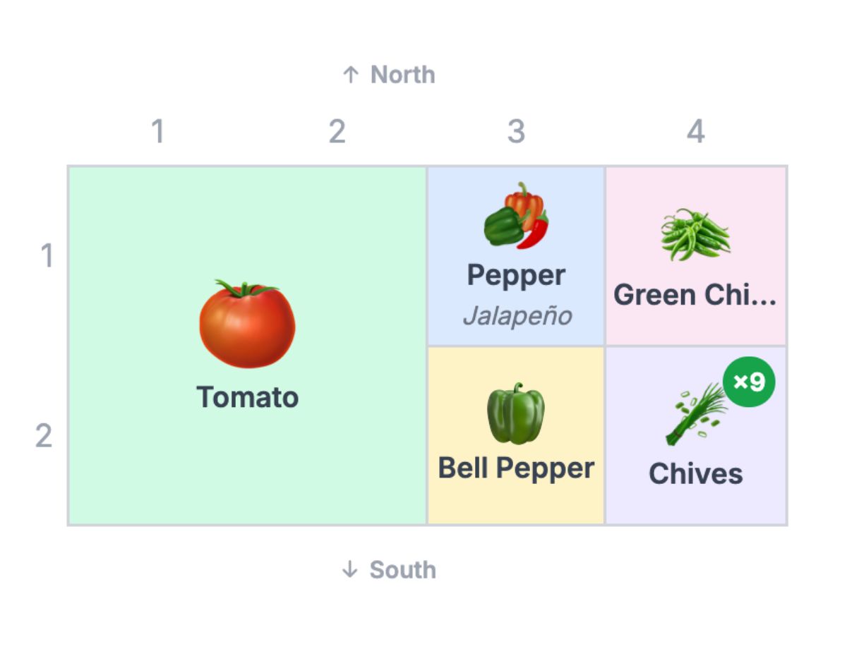 micro spicy salsa garden bed layout with tomato, jalapeño, bell pepper, green chillies and chives