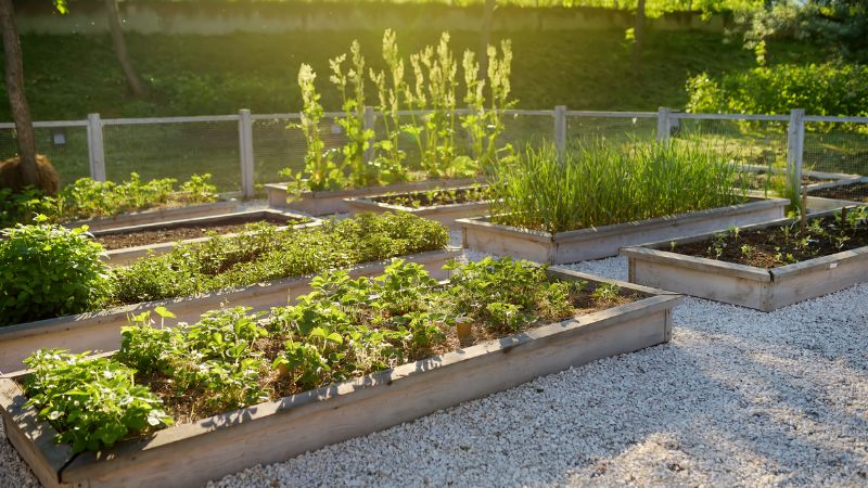 Pre-Planned Raised Bed Garden Layouts You Can Use Right Now