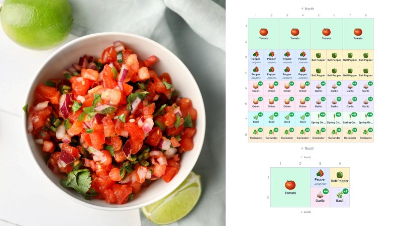 Salsa Garden Layout: 8 Complete Plans You Can Copy
