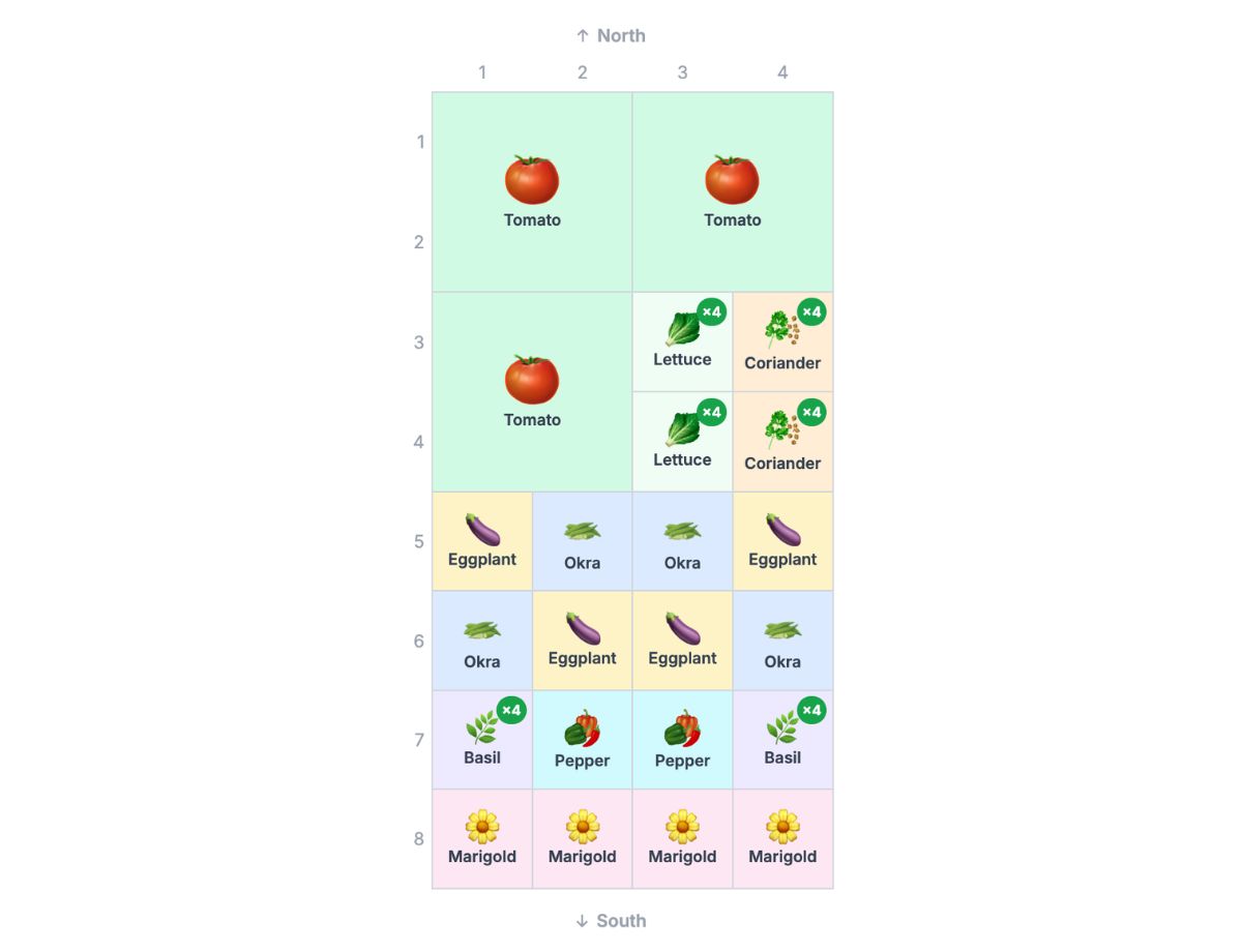 Tomato, basil and marigold companion planting bed