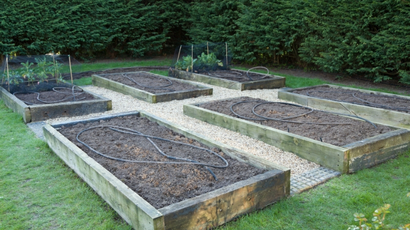 Vegetable Garden Layout Plans and Spacing: Complete Guide + Free Plans to Copy