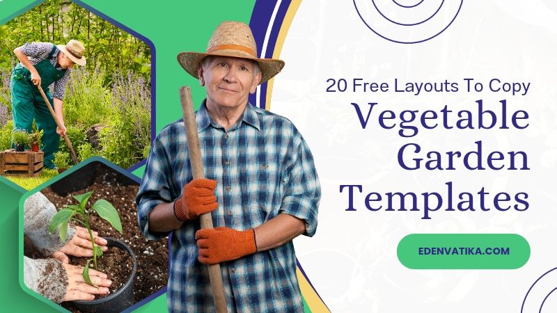 Vegetable Garden Templates: 20 Free Layouts to Copy