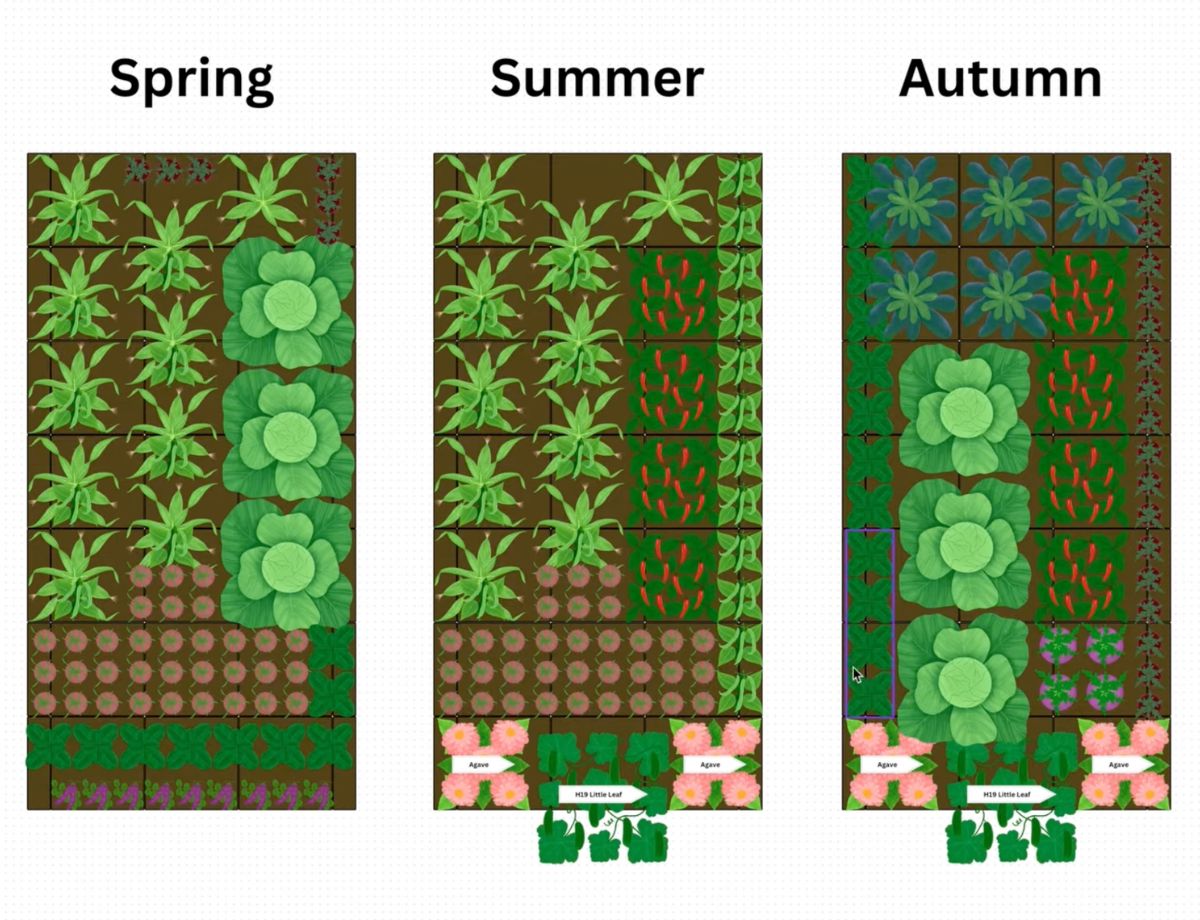 view of a garden bed layout plan on a tablet or screen, outdoors
